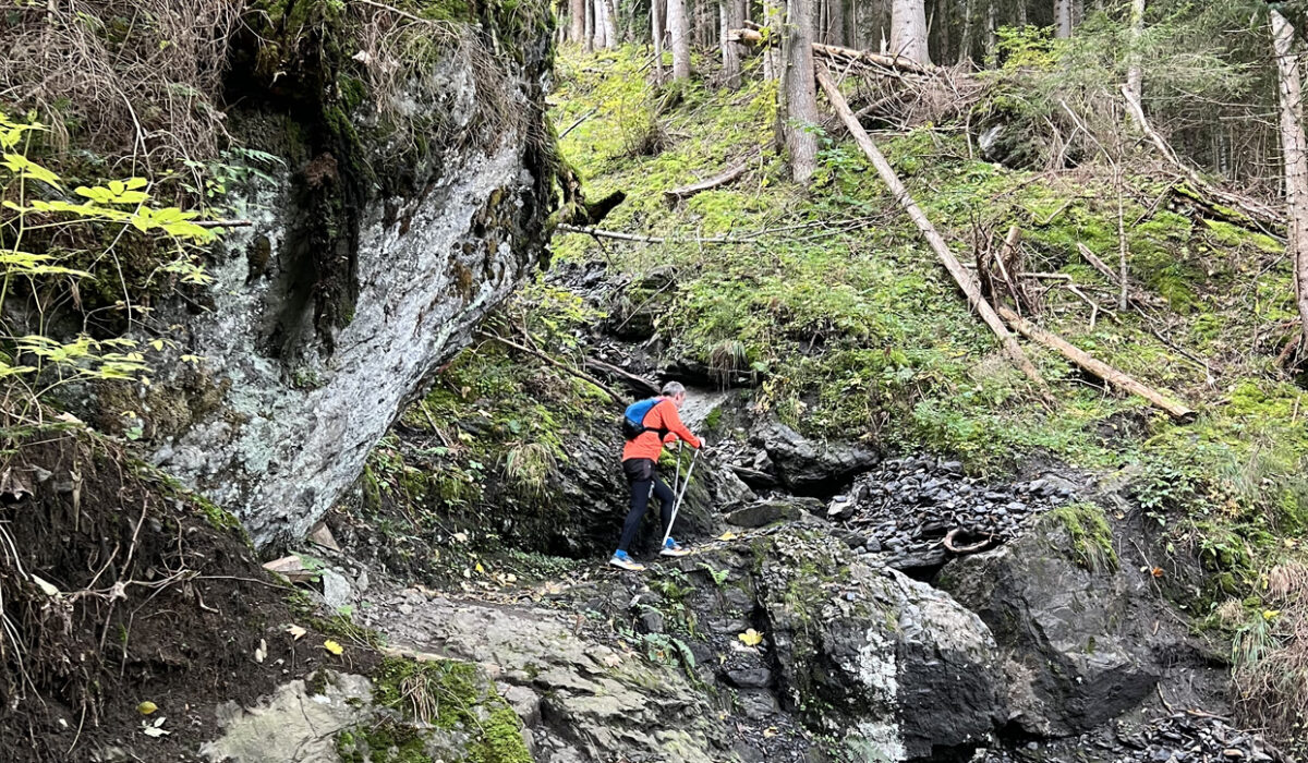03 initial climb through the forest heading up